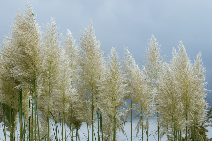 Vasárnap környezetvédelmi kisfilmpremier a Telexen!