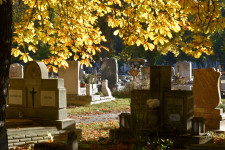 Átlagban minden hétre jut síremléklopás Magyarországon