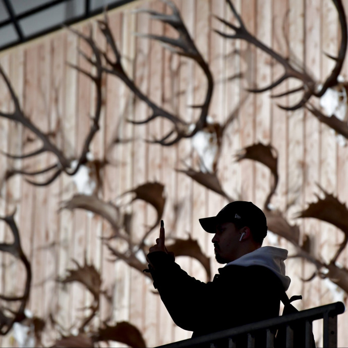 Napi 82 millió forint bevétel és több mint 2000 elejtett példány – célkeresztben a magyarországi vadászat