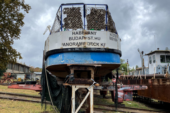 Nem értették a tolmácsokat a Hableány-tragédia dél-koreai túlélői, el kellett napolni a meghallgatásukat