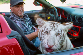 A tigriskirály bukásával még nincs vége az elmúlt évek legbizarrabb tévés történetének