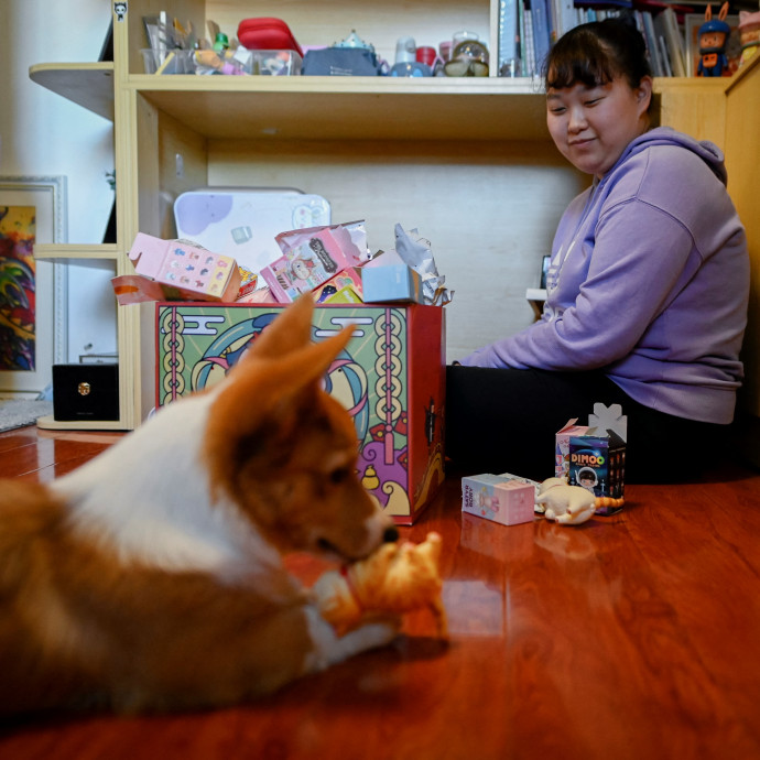 Agyonvert kutyák és macskák borzolják a karanténba kerülők kedélyeit Kínában