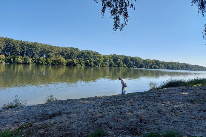 Egyre több a mikroműanyag a Tiszában