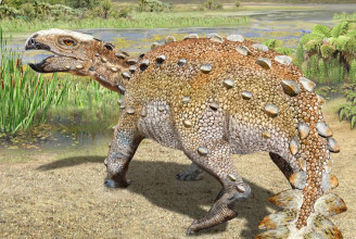 Pengés farkú, kutyaméretű dinoszauruszfajt fedeztek fel Chilében