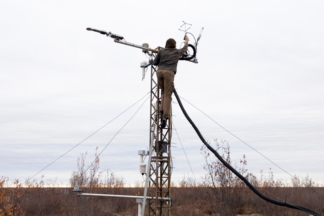 A park egyik munkatársa ellenőrzi az üvegházhatású gázokat érzekelő szenzort – Fotó: Maxim Shemetov / Reuters