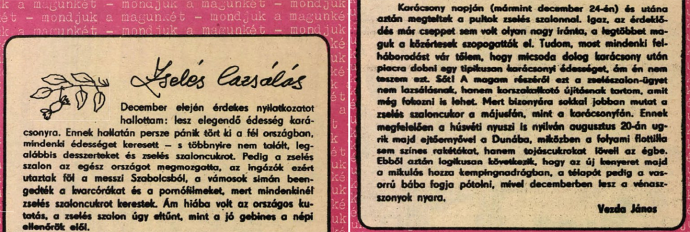 Forrás: Arcanum Digitális Tudománytár / Ludas Matyi, 1981/4. szám