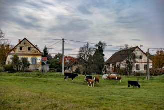 Nálunk nyugodt az élet, nem veszekedünk, hát nincs kivel