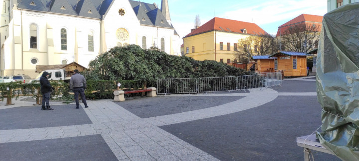 Kidőlt karácsonyfa Kaposváron. Fotó: Kpsvr.hu