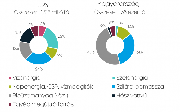 Az EU28 és Magyarország foglalkoztatása a megújulóenergia-szektorban, 2018. Forrás: EurObserv’ER (2020)