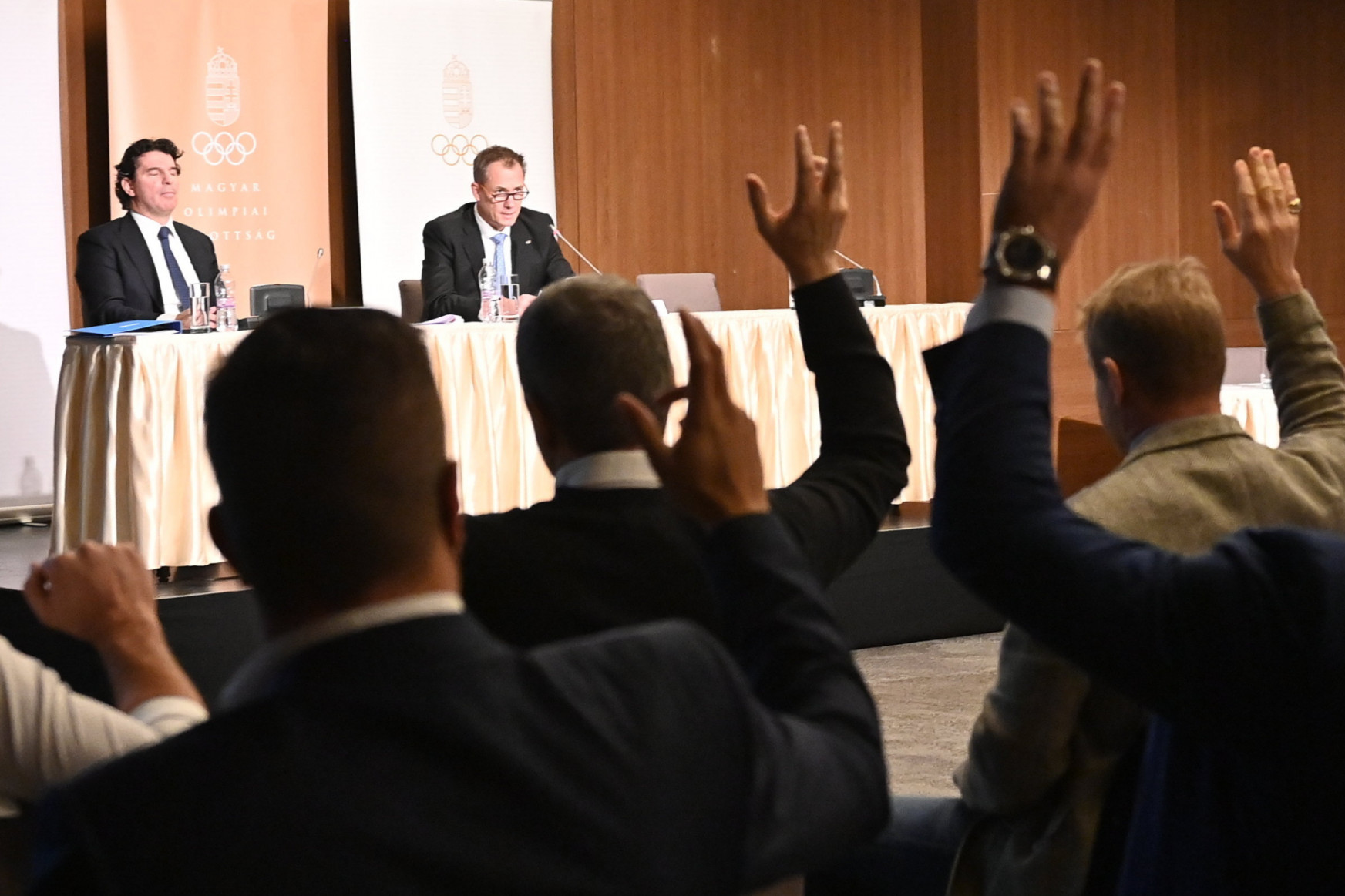 Kulcsár Krisztiánt bizalmi szavazással lemondatták a Magyar Olimpiai Bizottság elnöki posztjáról