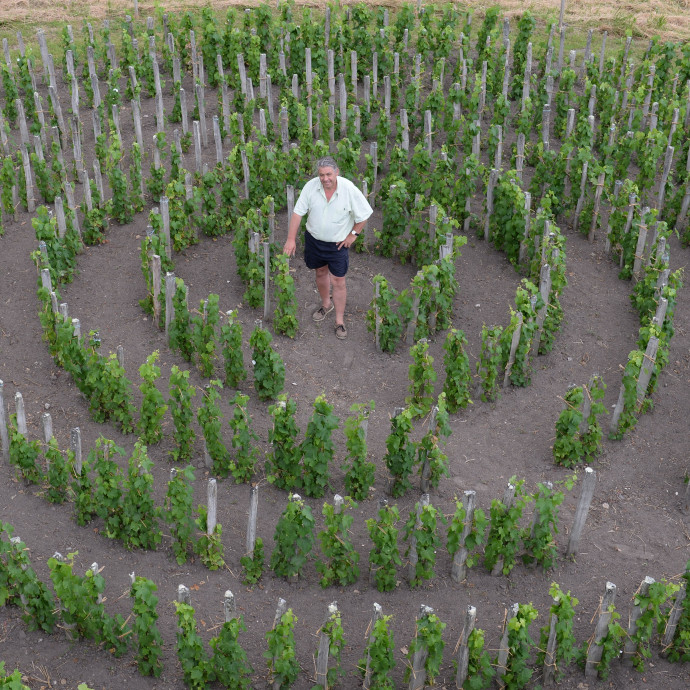 Nemcsak kevésbé szennyező, de a hazai cégeknek is kitörési lehetőség a körforgásos gazdaság