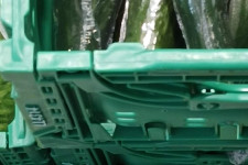 Ennek a zöldségnek annyira felment az ára, hogy most drágább, mint a biováltozata