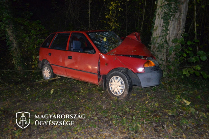 Elbújt két fiú a kocsiban, ettől az ittas sofőr annyira meglepődött, hogy fának hajtott