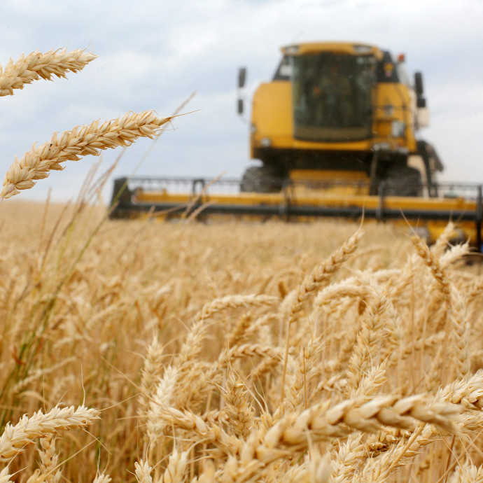 A kenyér is nagyon megdrágulhat, ha kitör a háború Ukrajnában