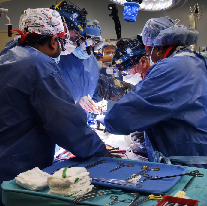 Szív- és keringési betegeken is segíthet, hogy egyre inkább utánozni tudjuk az emberi izomszövetet