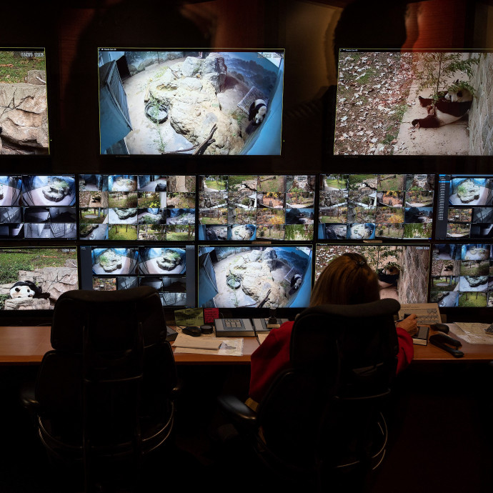 Beváltotta az internet a 25-30 éve hozzá fűzött reményeket?