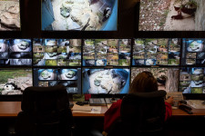 Beváltotta az internet a 25-30 éve hozzá fűzött reményeket?