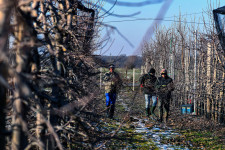 A nagy emelés után már öt EU-tagállamban is kisebb a minimálbér a magyarnál