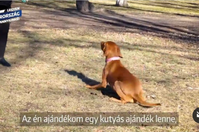 Ki szeretné legyőzni Karácsony Gergelyt? És pingpongban?