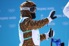 Mostantól már nem lepődhetünk meg, ha valaki tigrisjelmezben versenyzik az olimpián