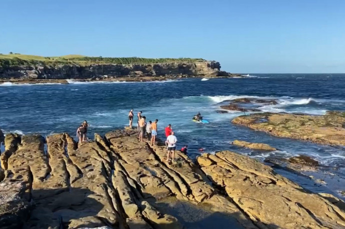 Közel 60 év után történt újra halálos cápatámadás Sydney partjainál