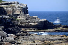Egy 35 éves férfi lehet a Sydney partjainál történt cápatámadás áldozata