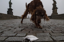 Lassan átesnek az ötödik hullámon a visegrádi országok