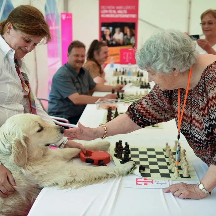Logikus lenne folytatni a magyar nyugdíjkorhatár emelését