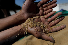 Hogyan jelenhet meg a háború a magyar élelmiszerárakban?