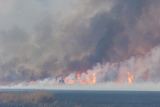 Több száz hektáron égett le az aljnövényzet Sármellék közelében