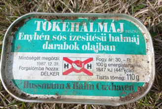1987-ben lejárt tőkehalmáj-konzervet is találtak a Pál-völgyi-barlang környékén szemetet szedő önkéntesek