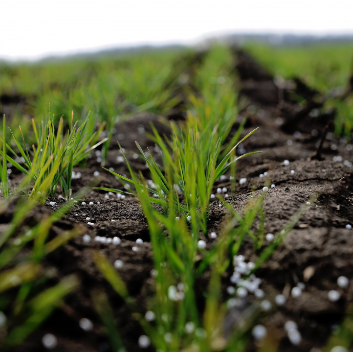 Felborult minden, ami meghatározza, hogy mennyibe fog kerülni Magyarországon a kenyér