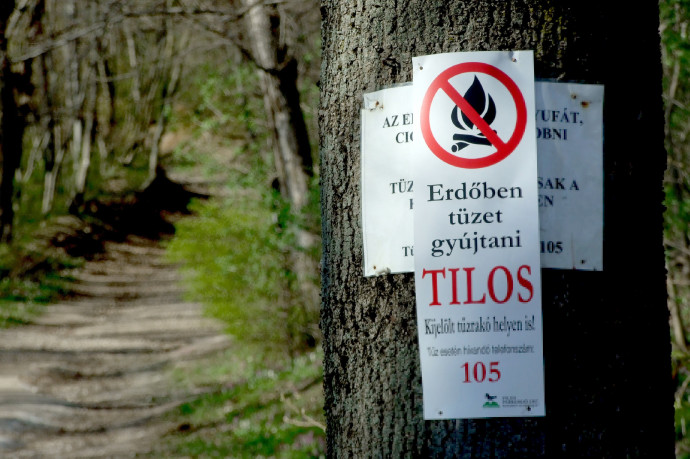 Ne most menjen szalonnát sütni az erdőbe, csütörtöktől tűzgyújtási tilalmat rendeltek el