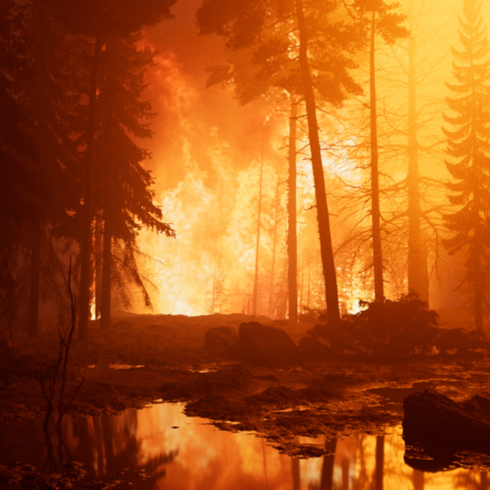 David CLAERBOUT – Futótűz (merengés a tűzön) / Wildfire (meditation on fire) 2019-2020 © David CLAERBOUT