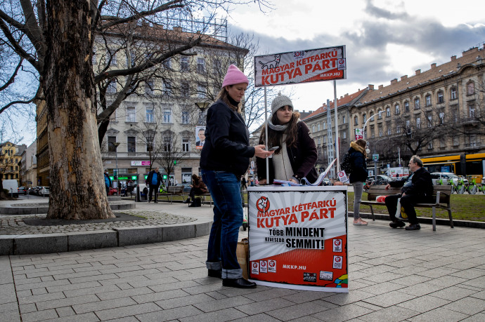 Csá, 117 millió forint! – gyanús ajánlások miatt visszaléptette jelöltjét a Kutyapárt, és visszautalta a pénzt