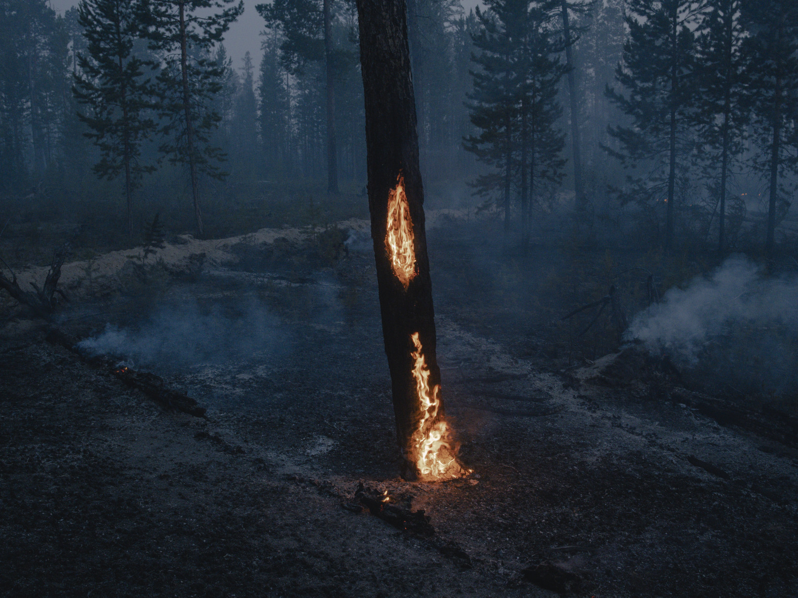 Erdőtűzben lángoló fák Kürelyak közelében, Szahában, Szibériában, Oroszországban, 2021. július 5-én.