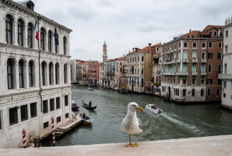 Narancssárga vízipisztollyal veszik fel a harcot a turisták a galambok ellen Velencében