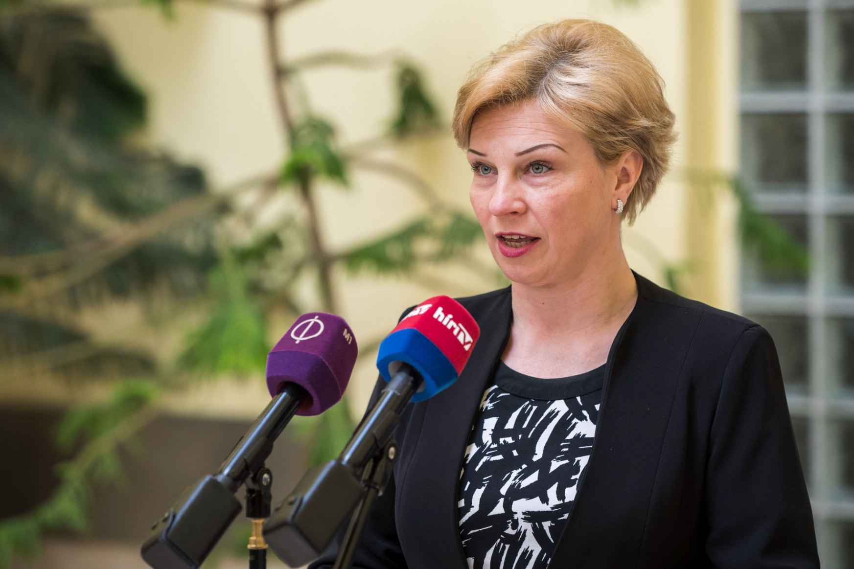 Ukrán
nagykövet: Nem
akarjuk, hogy az ukrán-magyar határ magyar-orosz határrá változzon