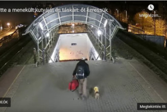 Keresi a rendőrség a férfit, aki elvitte egy ukrán
menekült táskáját és kutyáját a zuglói vasútállomásról