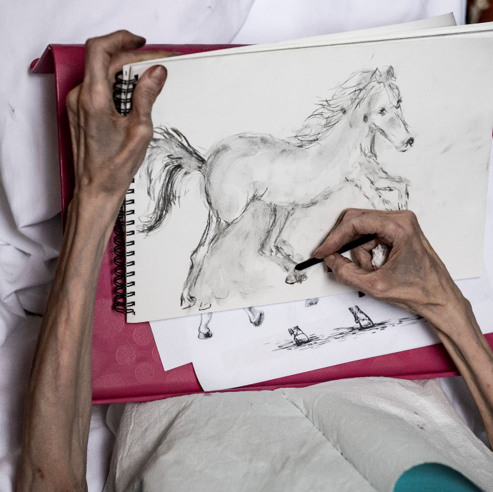 „A magyar egészségügy nem döglődő ló, már megdöglött”