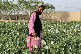 Betiltják a tálibok az ópiummák termesztését