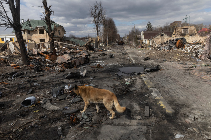 Kutya kóborol Bucsa romjainál – Fotó: Marko Djurica / Reuters