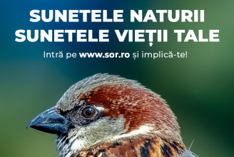 Madárfütty albumot adott ki a Román Madártani Egyesület