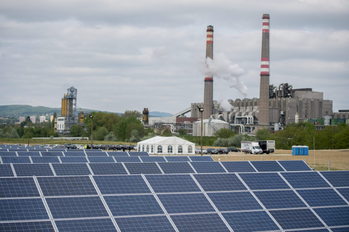 Napelem panelek a pécsi fotovoltaikus erőműben az átadás napján – Fotó: Sóki Tamás / MTI