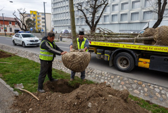 „Zöld offenzíva” kezdődött Kolozsváron, állítja a polgármester