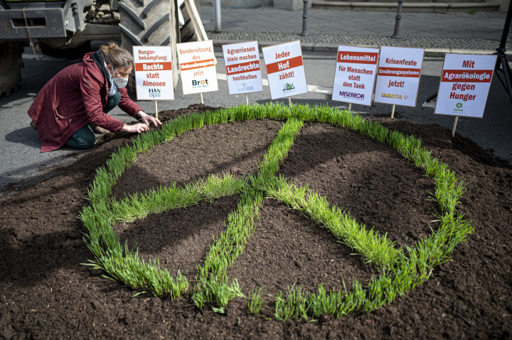 Fűből kirakott békejel egy berlini tüntetésen, melyet a „Vess békét és vess véget a háborúnak!” szlogennel szerveztek emberi jogi szervezetek – Fotó: Fabian Sommer / DPA via AFP