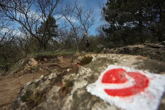 Szív, dobog, mér, kipufog: kardiotanösvény a Hármashatár-hegynél