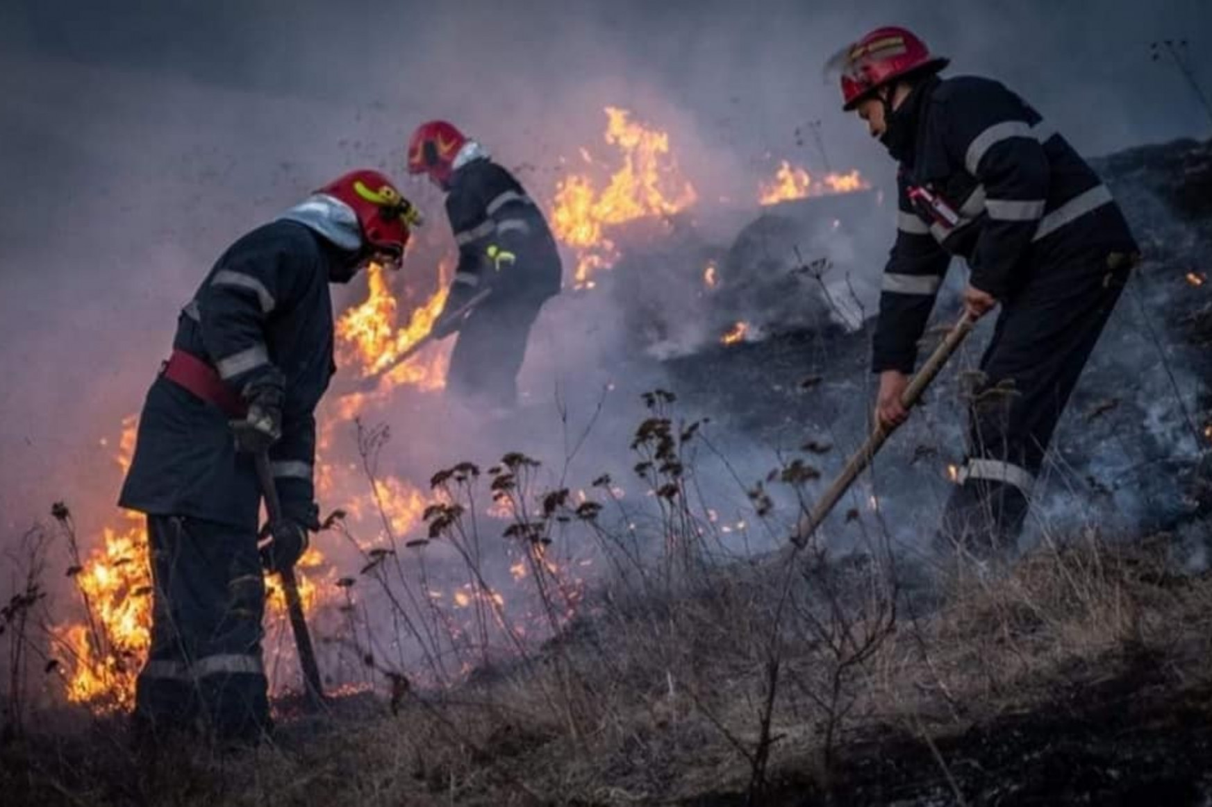 Csak csütörtökön 50 hektár tarló égett le Hargita megyében