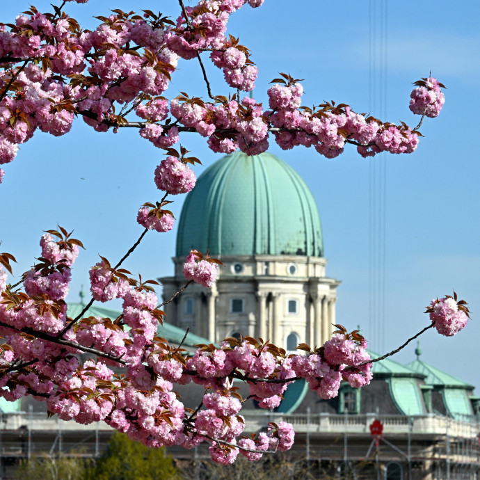 Felül kell vizsgálni a magyar rendszert, az Európai Ügyészséghez csatlakozás lesz a lakmuszpapír