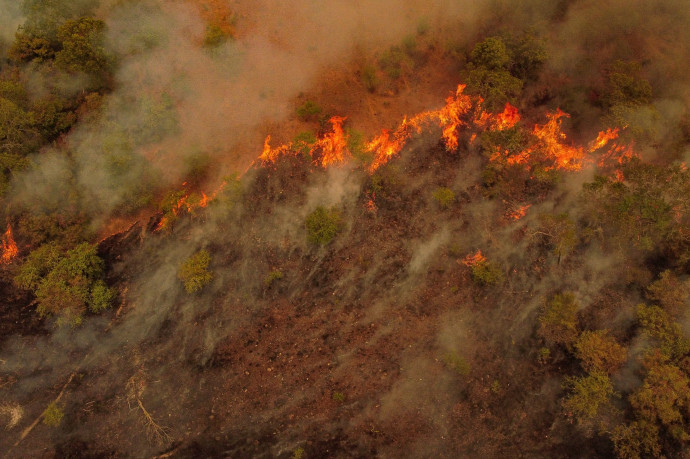 A WWF felmérése szerint a magyarok 90 százaléka erős környezetvédelmet vár a kormánytól